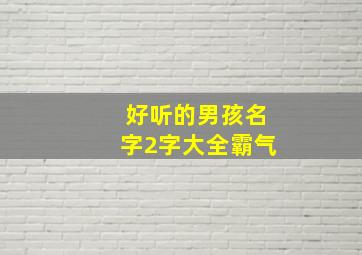 好听的男孩名字2字大全霸气