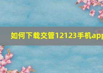 如何下载交管12123手机app