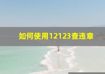 如何使用12123查违章