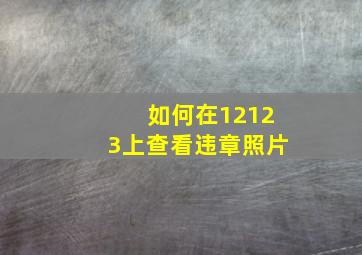 如何在12123上查看违章照片