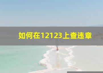 如何在12123上查违章