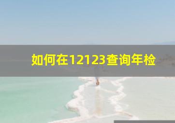 如何在12123查询年检