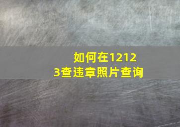 如何在12123查违章照片查询