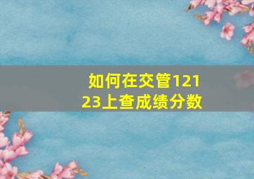 如何在交管12123上查成绩分数