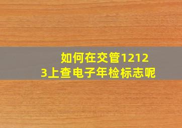 如何在交管12123上查电子年检标志呢