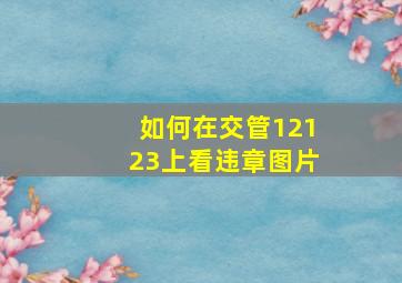 如何在交管12123上看违章图片