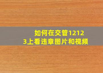 如何在交管12123上看违章图片和视频