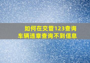 如何在交管123查询车辆违章查询不到信息