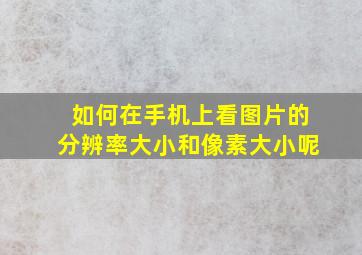 如何在手机上看图片的分辨率大小和像素大小呢