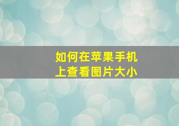 如何在苹果手机上查看图片大小