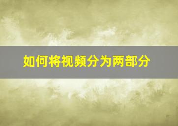 如何将视频分为两部分