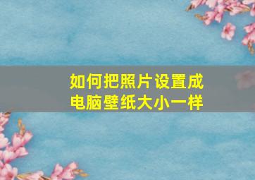 如何把照片设置成电脑壁纸大小一样