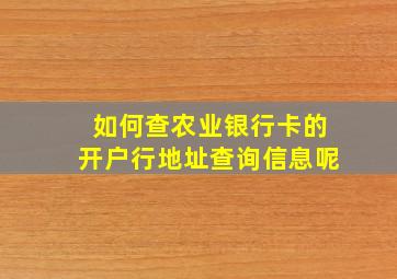 如何查农业银行卡的开户行地址查询信息呢