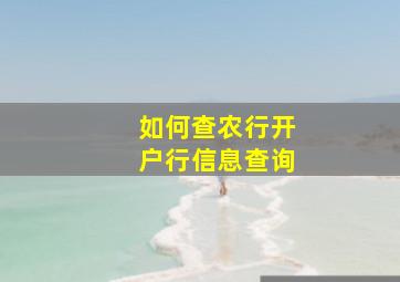 如何查农行开户行信息查询