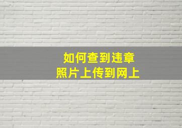 如何查到违章照片上传到网上