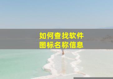 如何查找软件图标名称信息