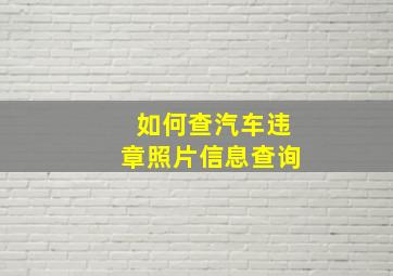 如何查汽车违章照片信息查询