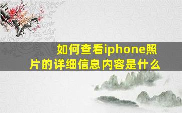 如何查看iphone照片的详细信息内容是什么