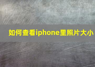 如何查看iphone里照片大小