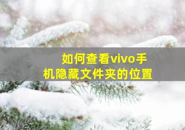 如何查看vivo手机隐藏文件夹的位置