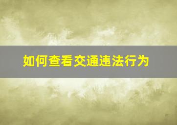 如何查看交通违法行为