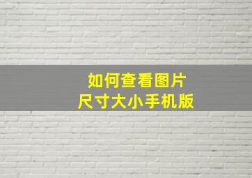 如何查看图片尺寸大小手机版