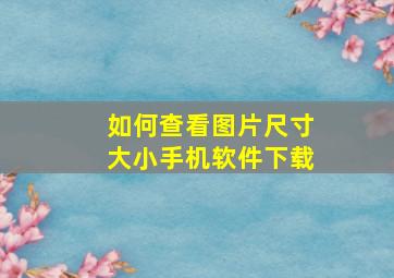 如何查看图片尺寸大小手机软件下载