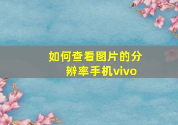 如何查看图片的分辨率手机vivo