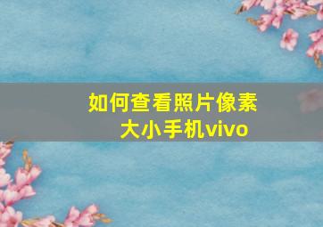 如何查看照片像素大小手机vivo