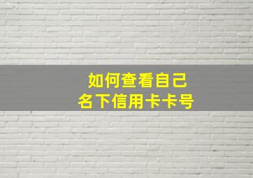 如何查看自己名下信用卡卡号