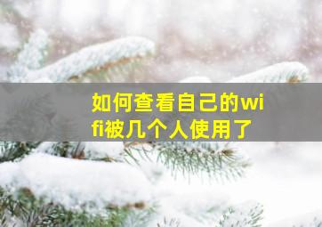 如何查看自己的wifi被几个人使用了