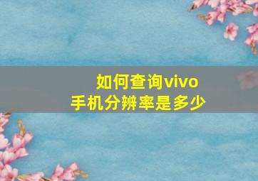 如何查询vivo手机分辨率是多少