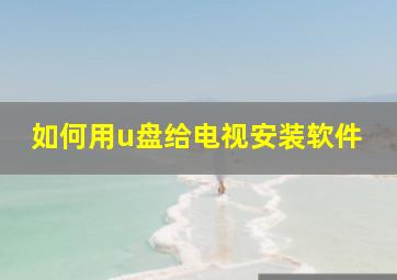 如何用u盘给电视安装软件