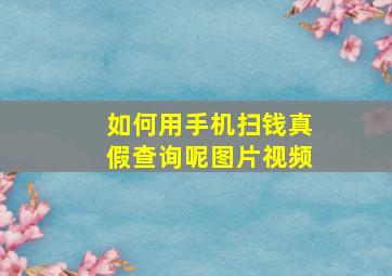 如何用手机扫钱真假查询呢图片视频