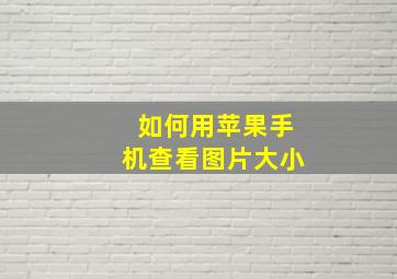 如何用苹果手机查看图片大小