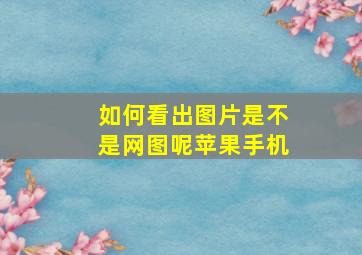 如何看出图片是不是网图呢苹果手机