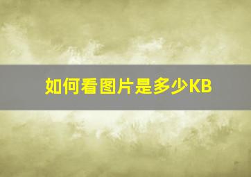 如何看图片是多少KB