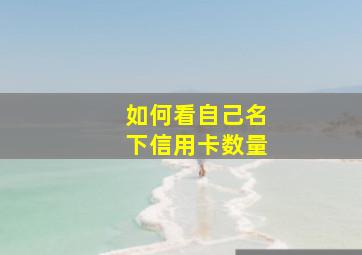 如何看自己名下信用卡数量