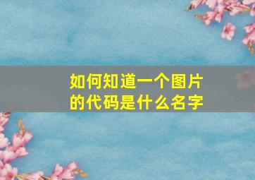 如何知道一个图片的代码是什么名字