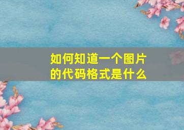 如何知道一个图片的代码格式是什么