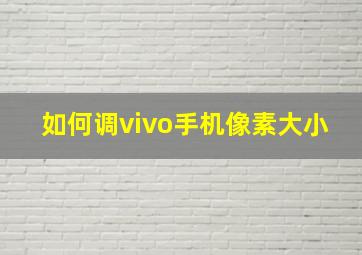 如何调vivo手机像素大小