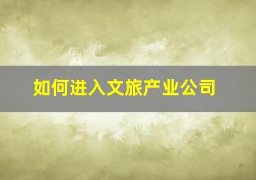 如何进入文旅产业公司