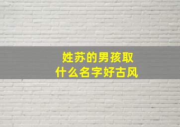 姓苏的男孩取什么名字好古风