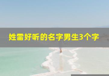 姓雷好听的名字男生3个字