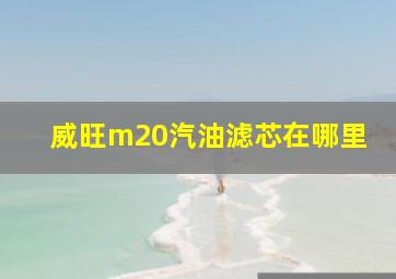 威旺m20汽油滤芯在哪里