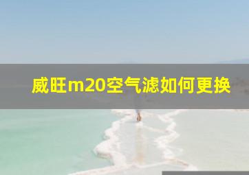 威旺m20空气滤如何更换