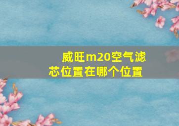 威旺m20空气滤芯位置在哪个位置