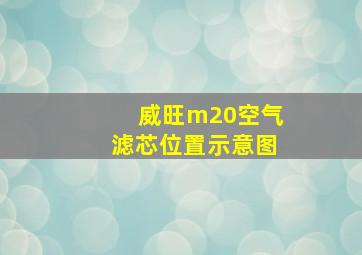 威旺m20空气滤芯位置示意图