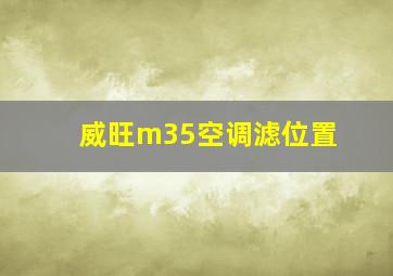 威旺m35空调滤位置