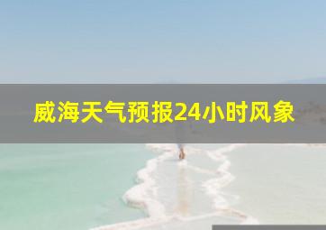 威海天气预报24小时风象